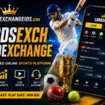 Exploring Lordsexch: A Guide to Lordexchange Features, Account Access, and Safe Online Participation
